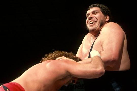 Image of André The Giant as a WWE wrestler 