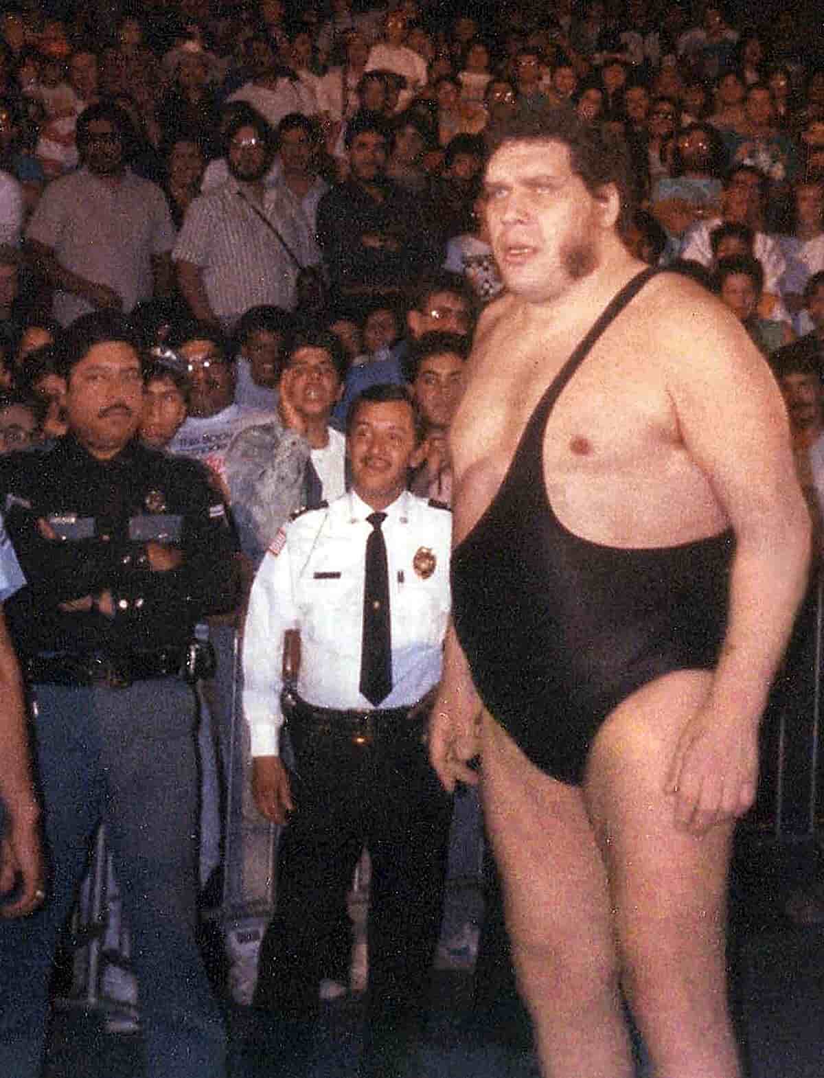 Image of André The Giant